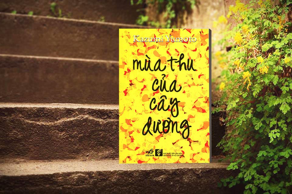 Mua-thu-cua-cay-duong